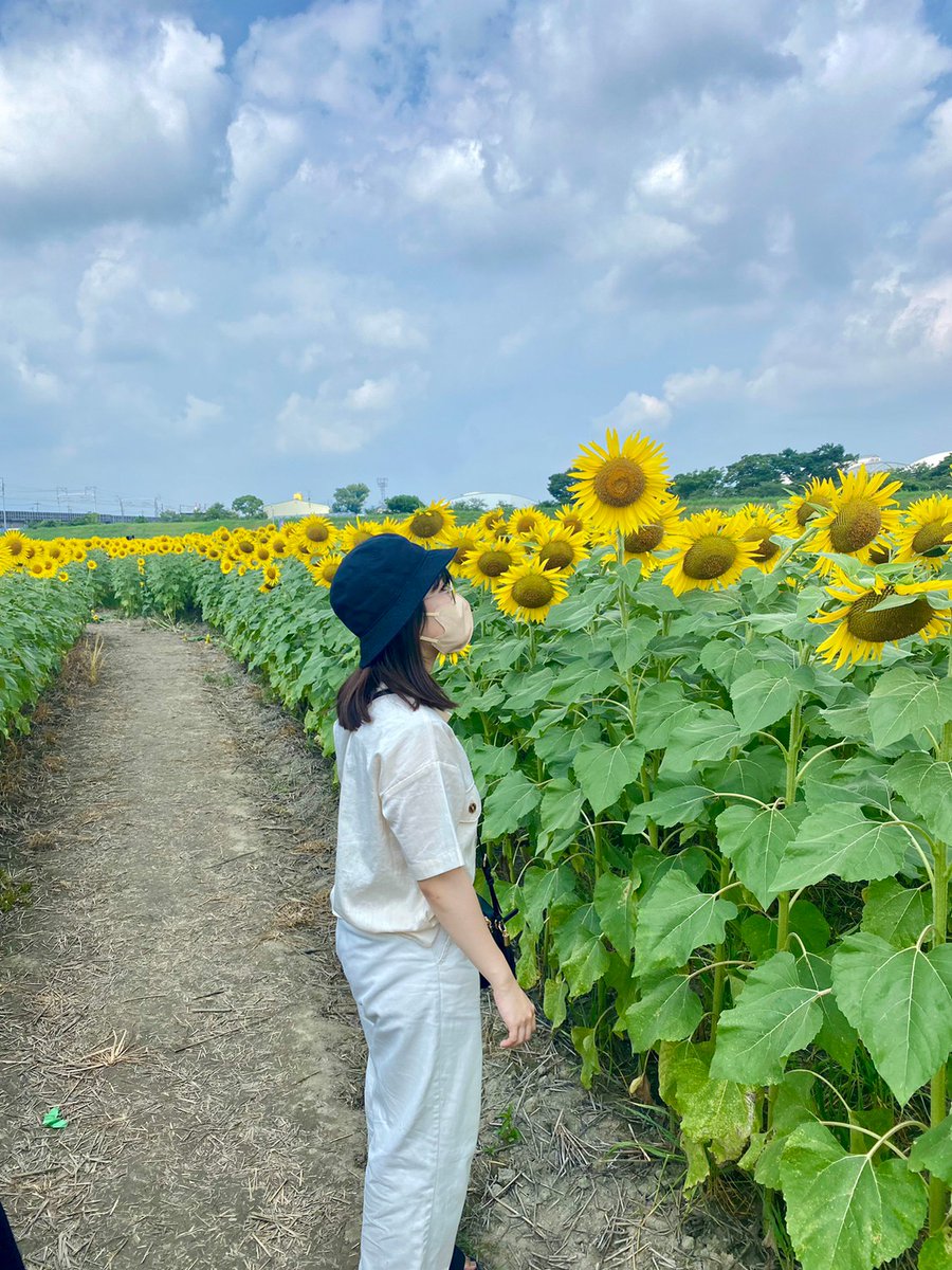 W.O.（薬学部・大阪府出身）

薬学部で研究室に所属する彼女はその多忙さ故にレアキャラ化し、さらにそのミニマムさから整列で横にいるのに姿が見えない事件が発生する。そんな彼女はおしゃインスタJDお得意のポートレートの魔術師であるので、新入生は履修してS単とってきてください。
#春から阪大