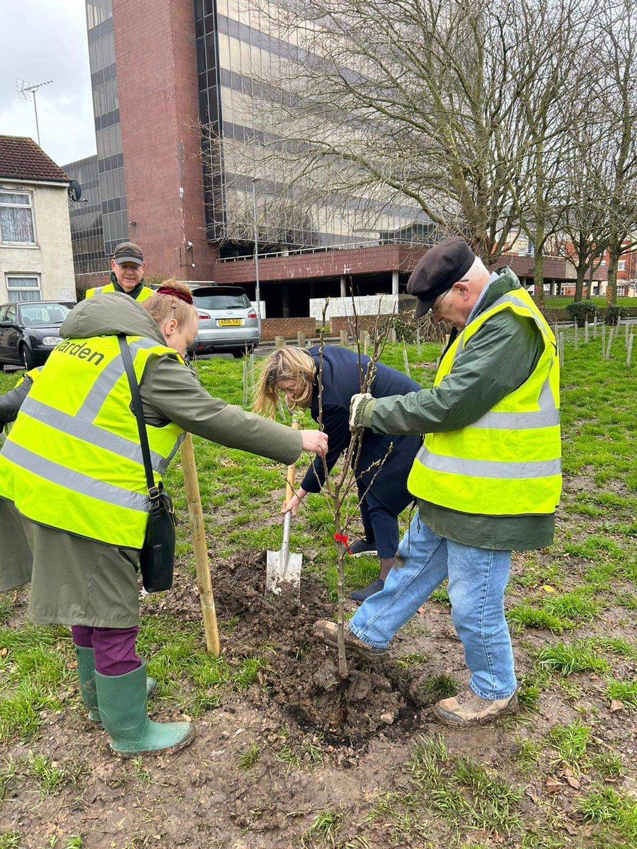 Seven fruit trees were planted on Friday 31 March at the Rudmore Roundabout site. Penny Mordaunt, MP for Portsmouth North, helped with the planting together with Trish, David , John Worley, Jake and Mike and her chauffeur. Then Trish and Dennis moved on to Silver Street.