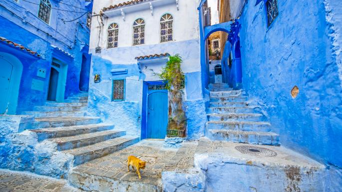 Wander the World tweet media