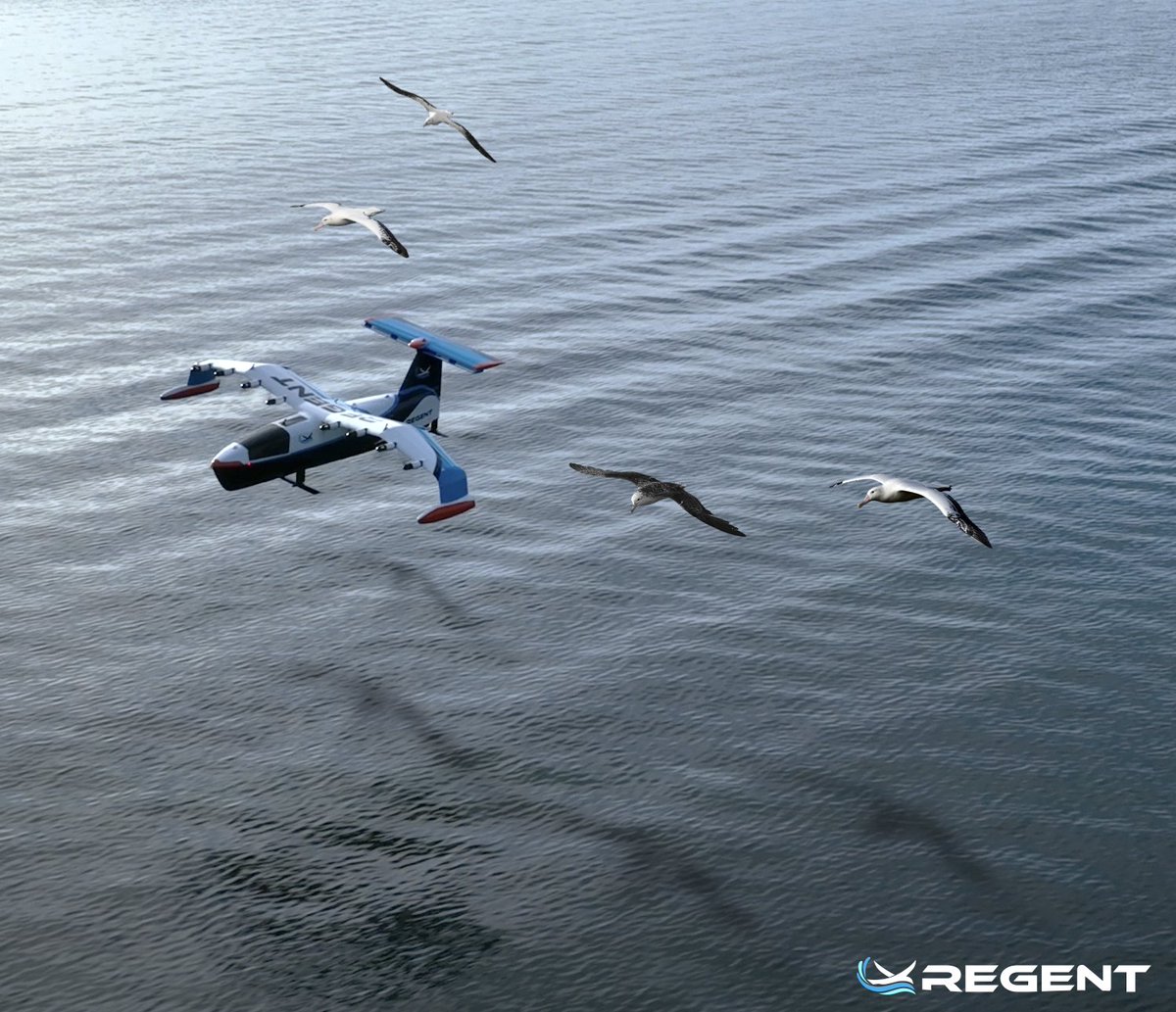 regentcraft's tweet photo. Exciting news! We're thrilled to announce that our #seaglider prototype has unlocked a new capability: Float, Foil, FLOCK! https://t.co/2mrtIncnJD
