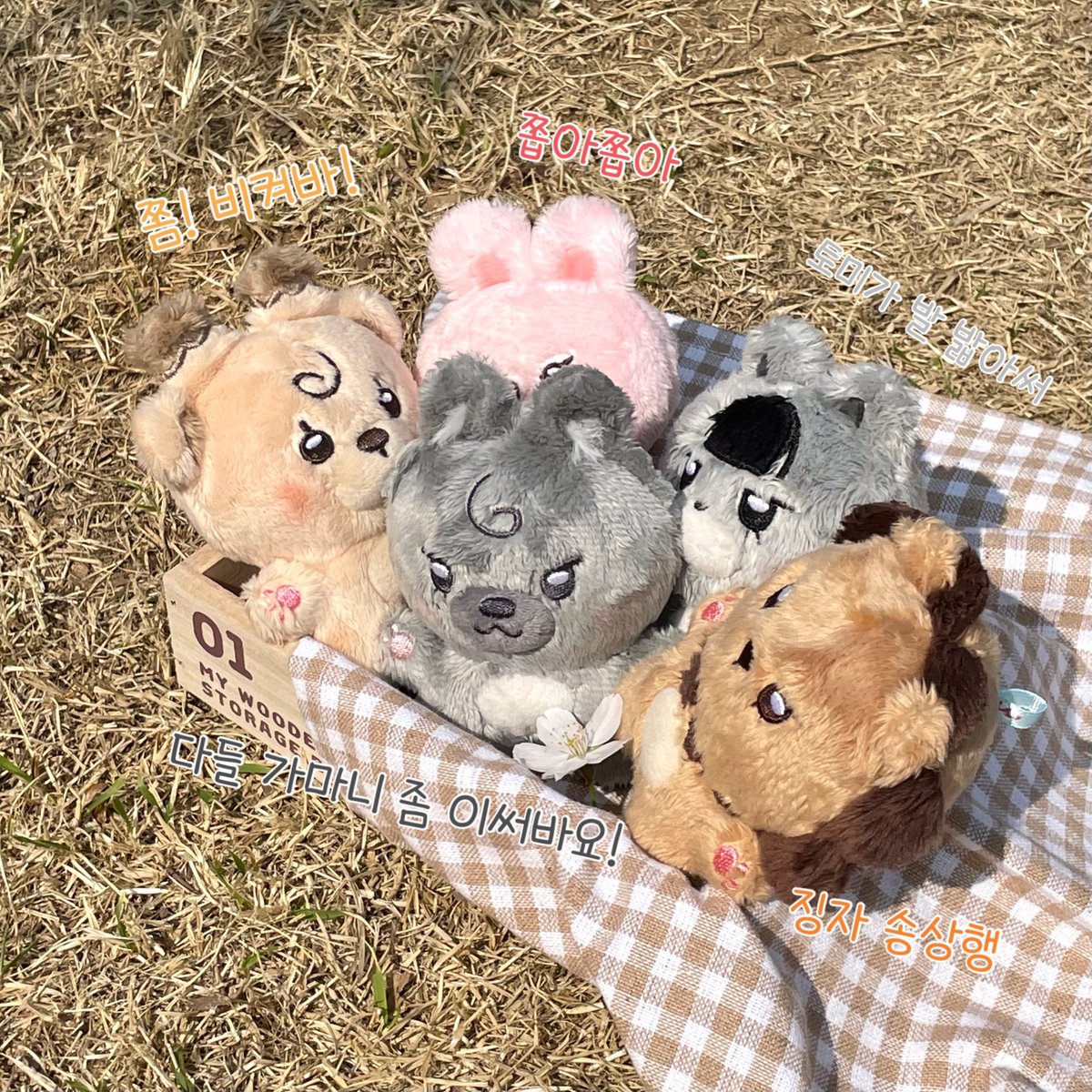 Animal_Lang's tweet photo. 바글바글 말랑즈 https://t.co/rmYt77Wo6u