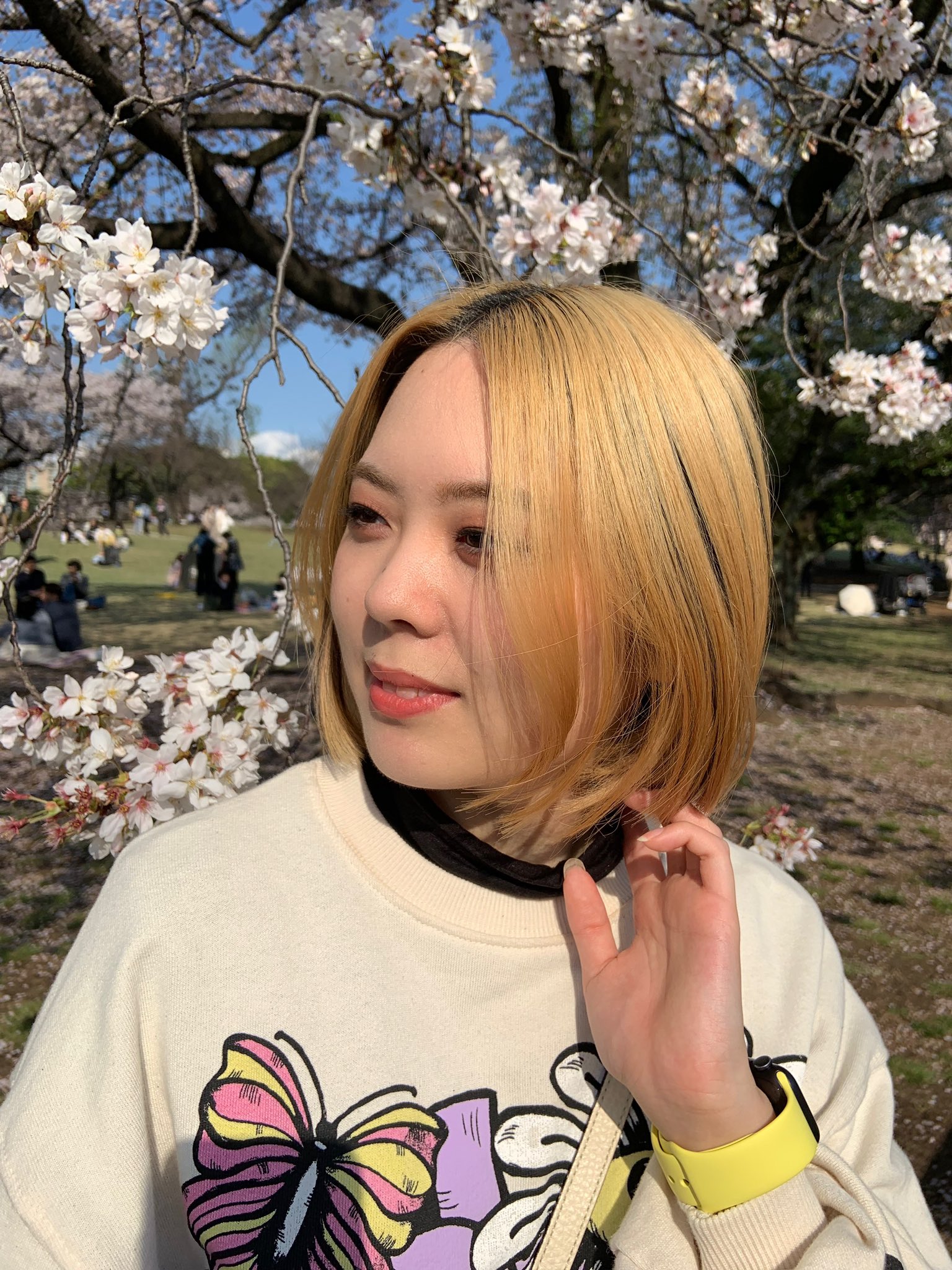桜 on X: 