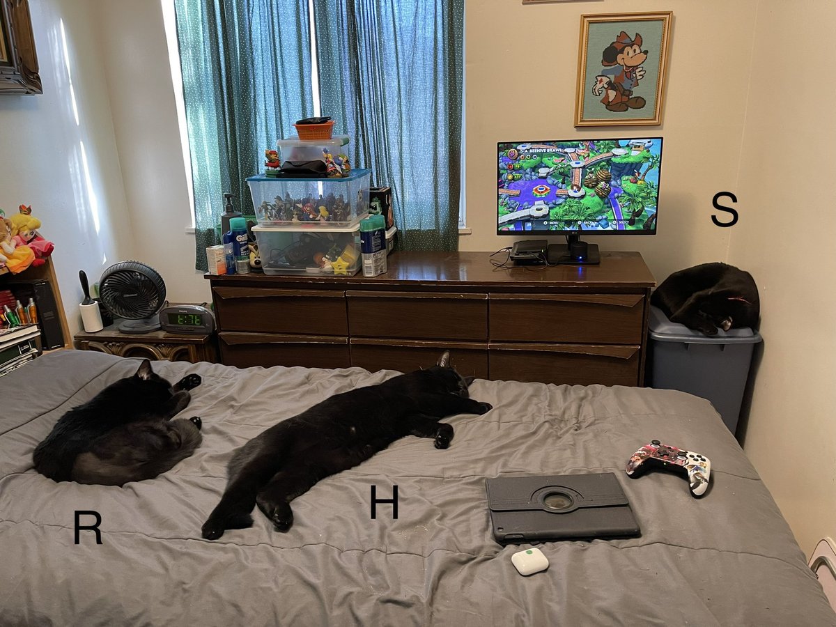 Saturday morning with the boys Redbeard, Harry, &amp; Sha Ka Ree ❤️💚🧡