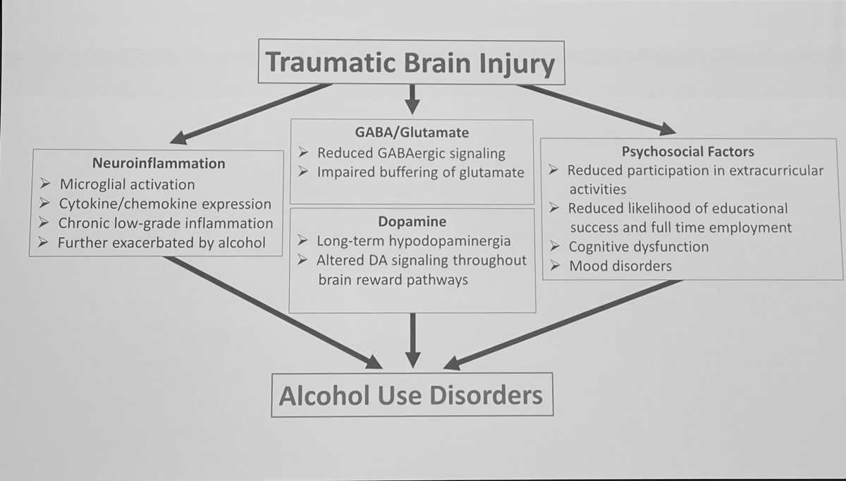 PinkConcussions's tweet photo. High Risk Substances Use and TBI With speakers Zachary Weil @Weillab1 then @johncorriganosu and Carolyn Lemsky now 1:30-3 with Moderator Rachel Sayko Adams PhD @RSayko_Adams #IBIA23 #ibia2023 @I_B_I_A @ABIIreland @ohiobraininjury https://t.co/hkW5gnMZdS