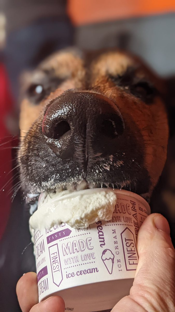 JustaFAD's tweet photo. ENJOY THE WEEKEND

BE GOOD TO YOURSELF

EAT ICE CREAM https://t.co/0dVpdnZccS