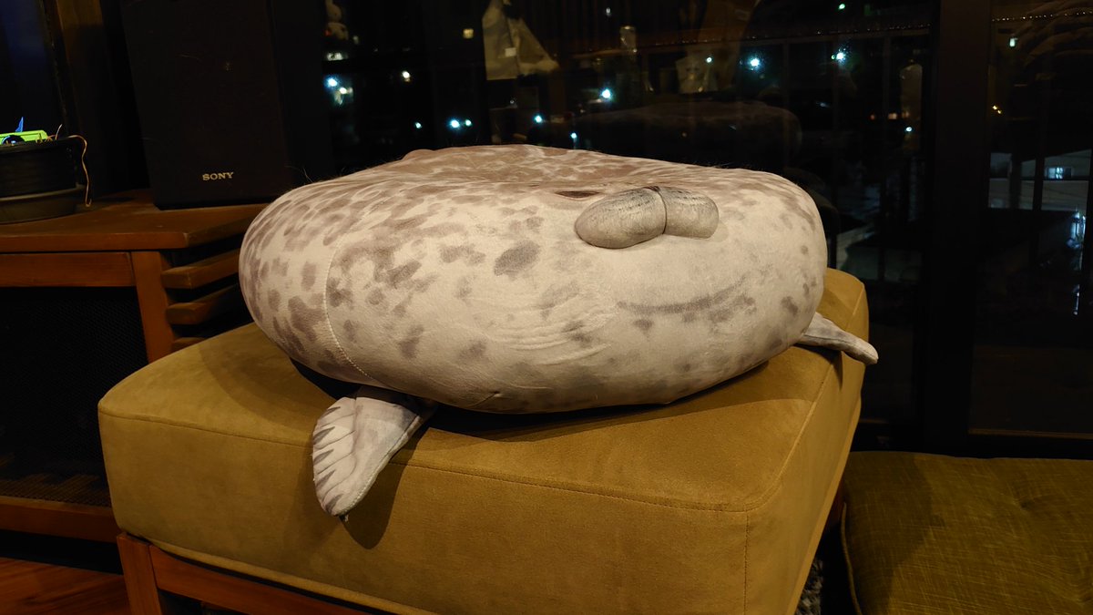 1年前、水族館でぬいぐるみを買いました。 1枚目 : 購入時 2枚目