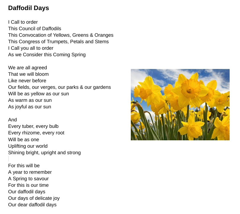 Our #DaffodilDays