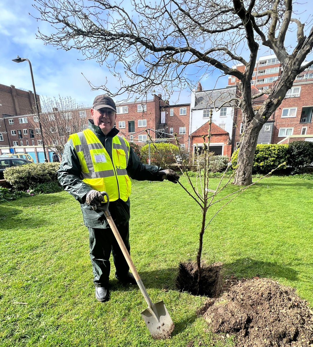 Trish and Dennis on 31 March at the Silver Street site planted a lovely shaped dwarf cherry tree after the Rudmore Roundabout planting