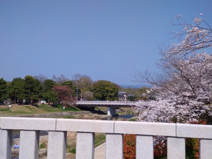 けいおん🌸たまこま🌸四畳半🌸有頂天🌸多分他にも色々🌸 