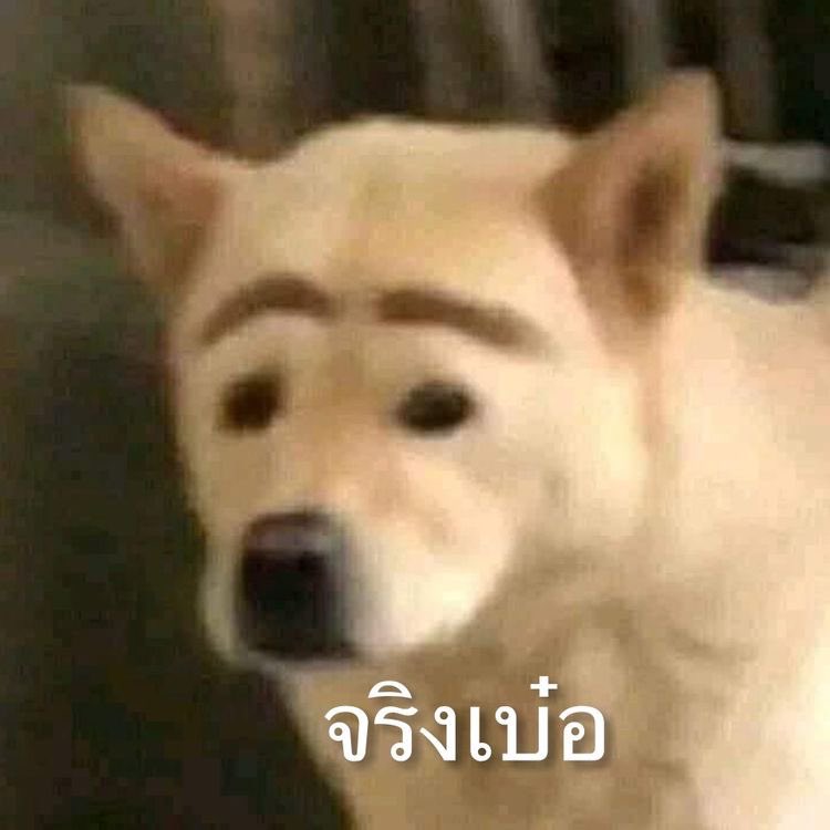 𝐉𝐚𝐲𝐝𝐞𝐧 tweet media