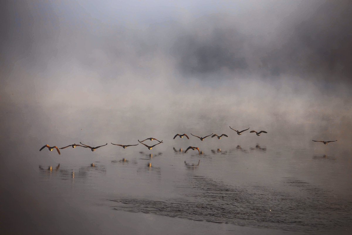 Bern Dubie tweet media