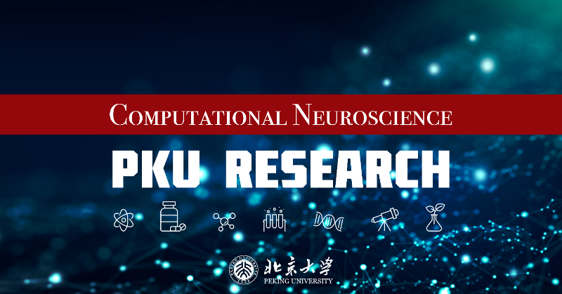 PKU1898's tweet photo. #PKUResearch In a study published in @NatureComms, #PKU researchers and collaborators generate complementary bulk RNA-seq and snRNA-seq datasets from cynomolgus macaques to examine the link between brain-wide gene expression and regional variation in morphometry.