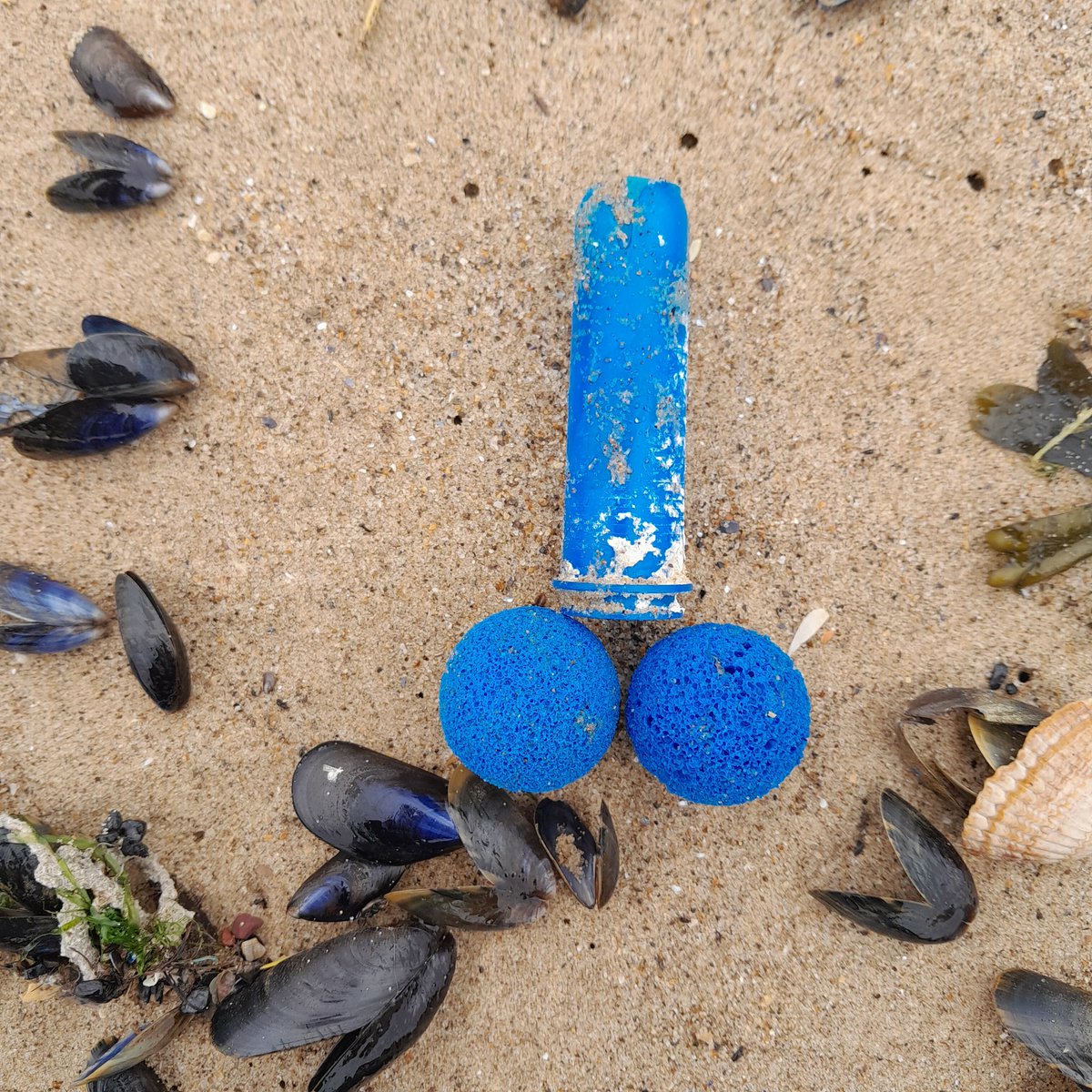 DIANE WATSON tweet media