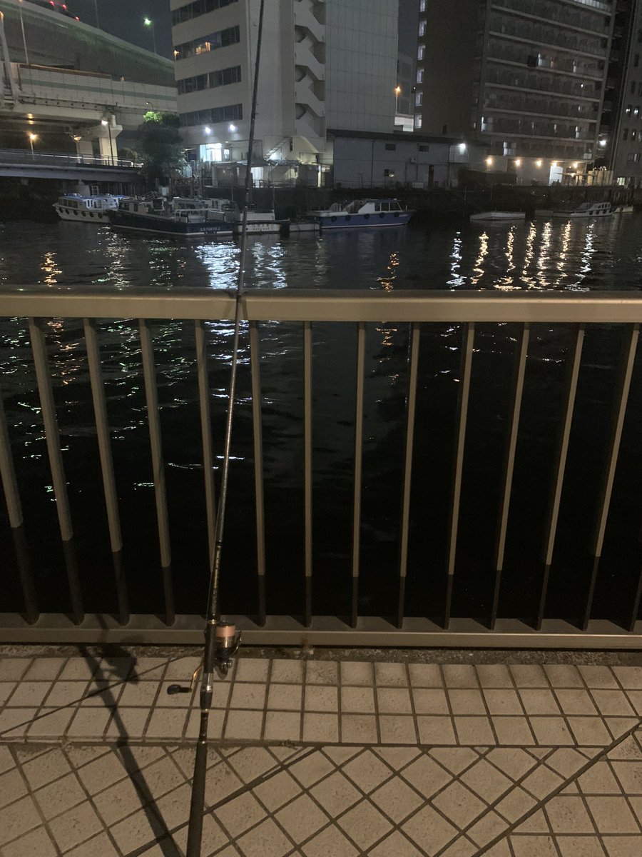koujun0601's tweet photo. シーバス調査in港区2日目

なんとシーバスhit！が、釣れると思ってもなかったためネットを持ってきていない！笑
しょうがなく抜きあげようとしたところでゲームセット泣
30くらいだったけど絶対にリベンジしてやる٩( 🔥ω🔥 )و https://t.co/IErblAozKt