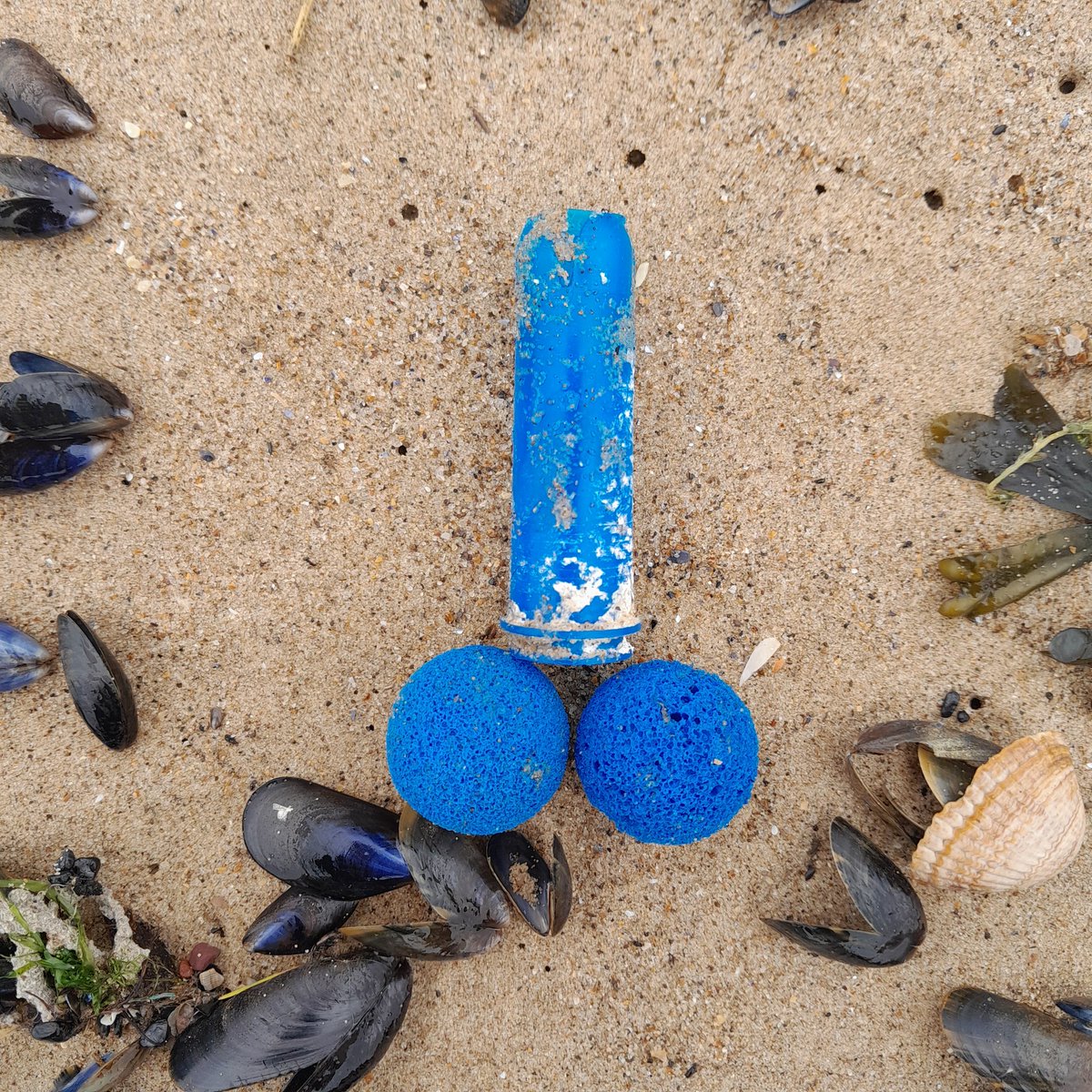 Are the water companies and the government dicking us over saying that they are actually going to do something about the sewage dumped in the sea? This has gone on for years the sea is full of this plastic shit #plasticpollution @tampax