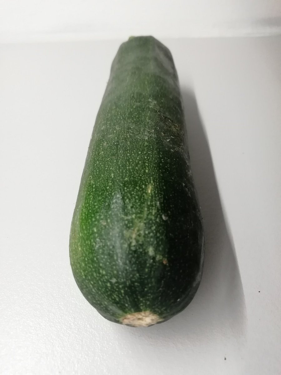 LustinyMind's tweet photo. I want this inside me but I can't decide where.. Would you help me?

If I get enough answer to the question below I will post picture  🍑🥒

#zuchini #pussy #ass #choose #masturbation #followme #hornygirl #onlyfansgirl #want2cum https://t.co/Q64zwmVWl2