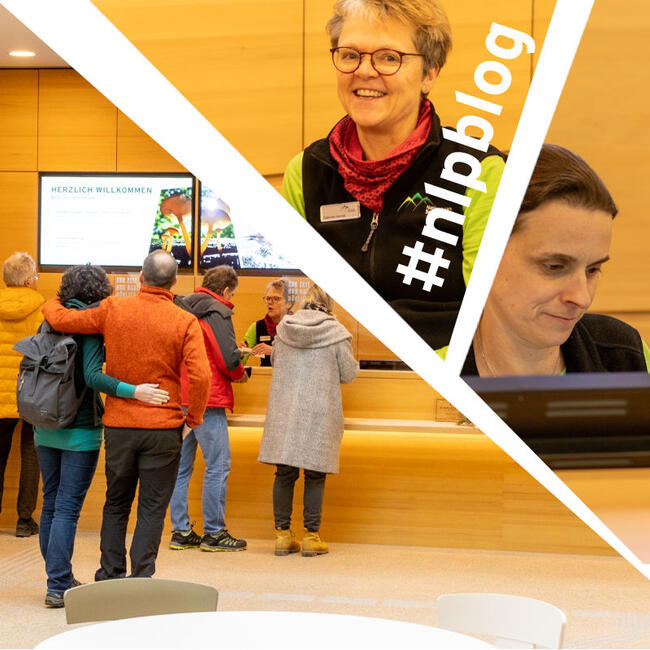 nlpschwarzwald's tweet image. Neues aus dem #nlpblog und auch über Ostern für Euch da:

Das Team des #Nationalparkzentrum|s: 

nationalpark-schwarzwald.de/de/nationalpar…

#NationalparkSchwarzwald #Nationalpark #Schwarzwald #Nationalparkzentrum #bawü #Ausstellung #Ostern  #ÖPNV 

Fotocollage: Forch