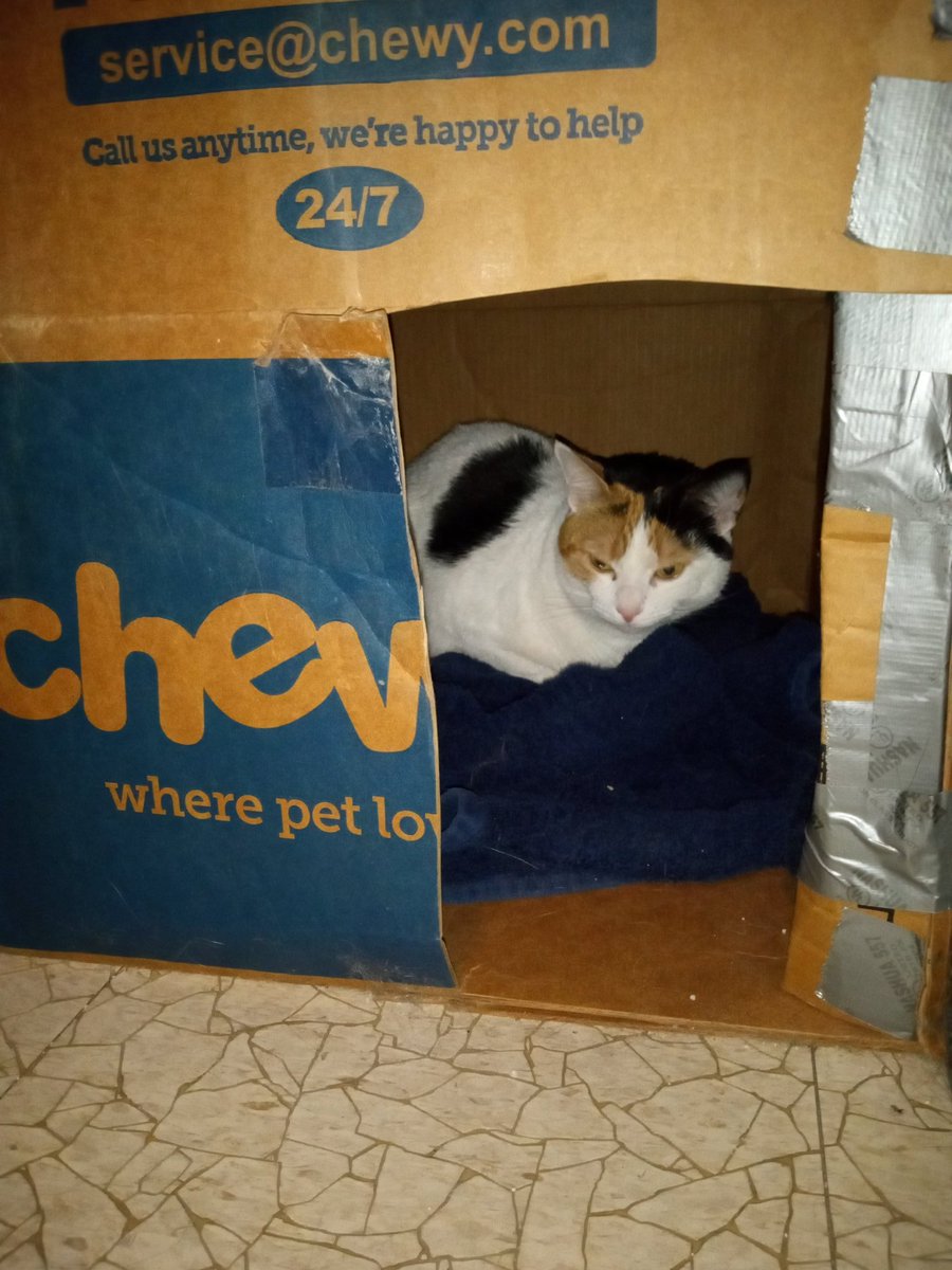 Klunk🐈 tweet media