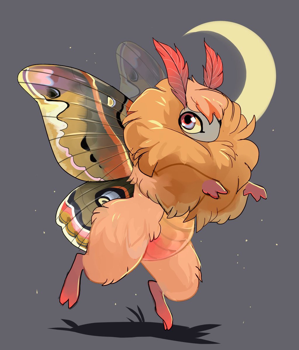 ToadaIIy's tweet image. Just a little guy