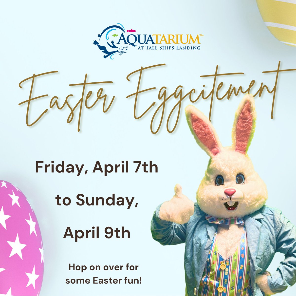 AQAquatarium's tweet image. 🐣 🤩 Hop 🐰 on over to aquatarium.ca/easter_2023/ to learn about a NEW opportunity to WIN some PRIZES with our NEW social media EGG hunt at the AQ as well as digital photos with the Easter Bunny.

#AQEggHunt #EasterActivities #FunActivitiesForKids #Easter2023