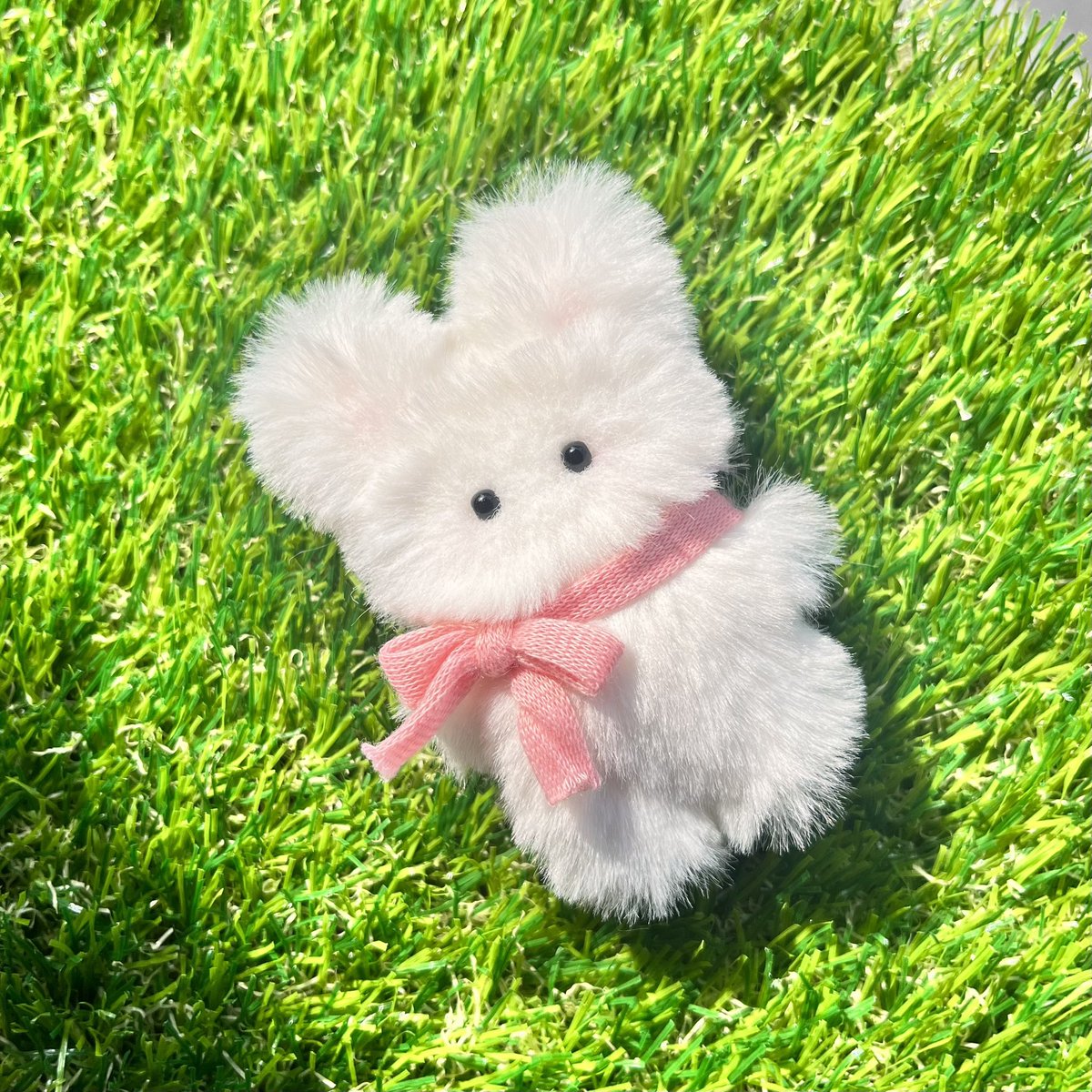 inini_shop's tweet photo. 저랑 사귈래요?
(은 마누절 국룰 장난

소통 고자 주인장이 여러분과 담소를 나누고 싶읍니다… (장난아님

(제발 담소 나눠줘요 주인장 뭐하냐? 주인장 디졋니? 등등 쌉파서블… 캄온 베이비…)

으띃게 하면 귀여운 여러분과 티키탁 할 수 있는지 알려주십쇼… 

미천한 주인장이라도 받아줘여… 🙏🏻 https://t.co/D5zdIU1mlM