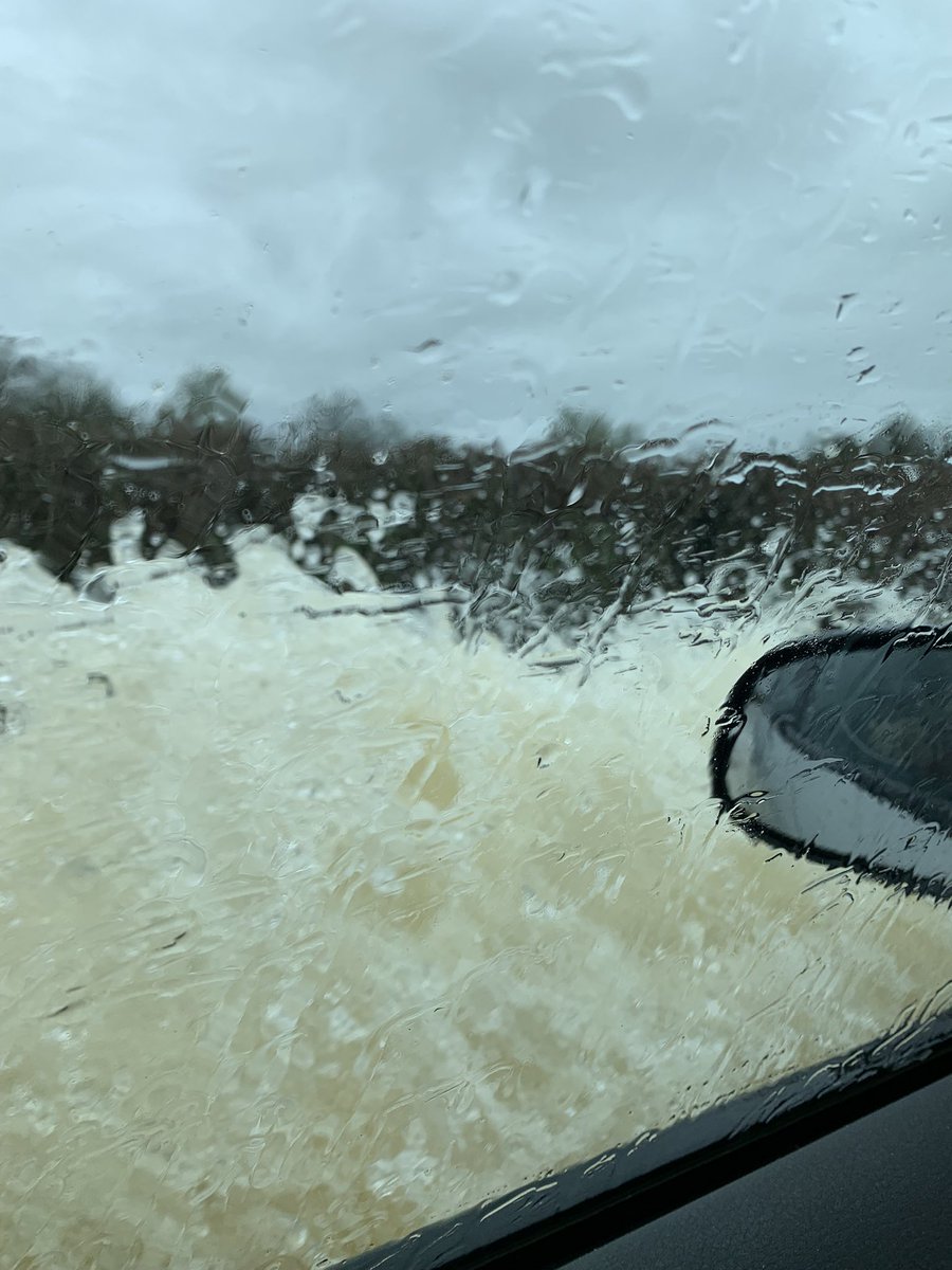 HorizonSeeds's tweet photo. A bit wet in Dorset this morning but at least the young stock are dry! https://t.co/rufjthD4rz
