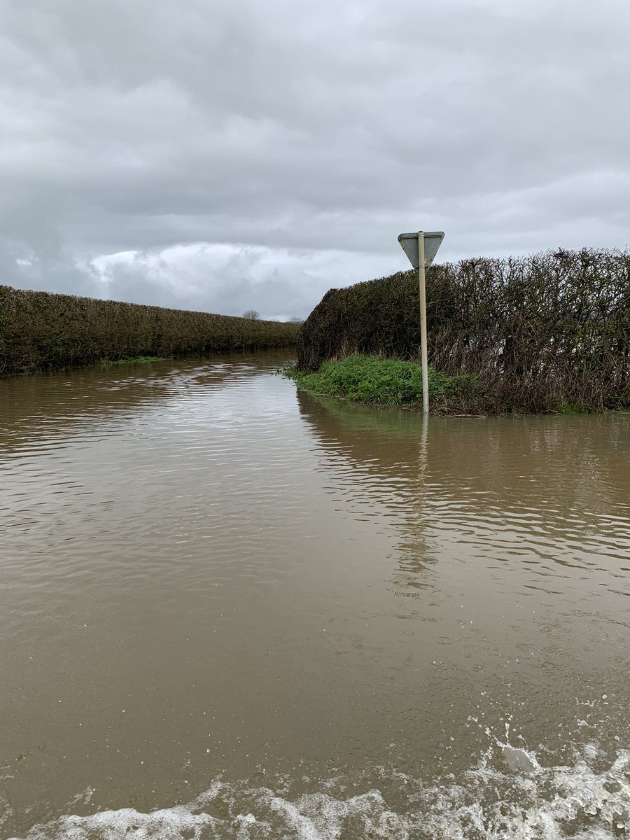 HorizonSeeds's tweet photo. A bit wet in Dorset this morning but at least the young stock are dry! https://t.co/rufjthD4rz