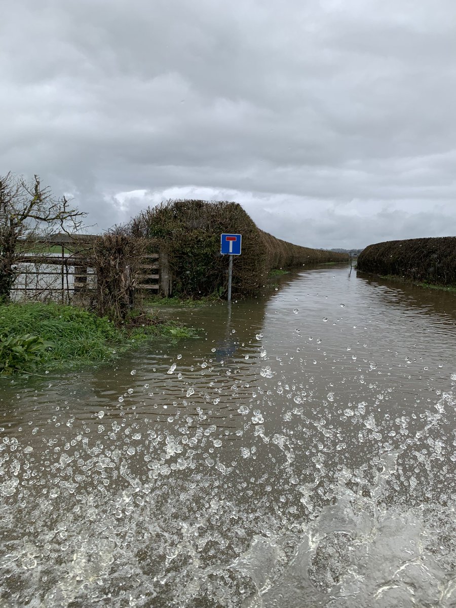 HorizonSeeds's tweet photo. A bit wet in Dorset this morning but at least the young stock are dry! https://t.co/rufjthD4rz