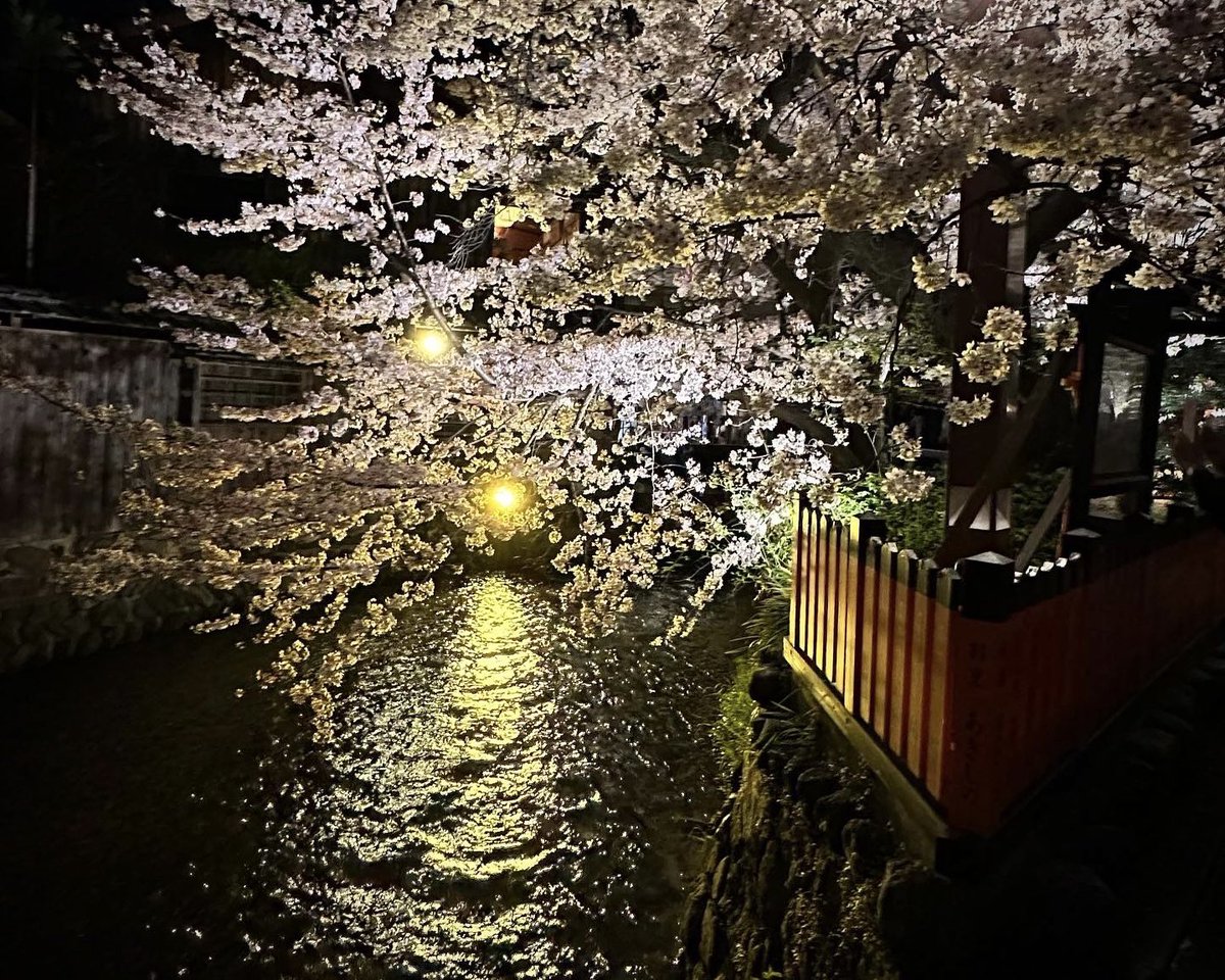Transducers2023's tweet photo. We would like to share with you a little piece of spring in Kyoto.
#TRANSDUCERS2023 #Kyoto #sakuralightup #spring #Japan #Solid-State Sensors #Actuators #Microsystems #tourists https://t.co/vMMOt0AY5u