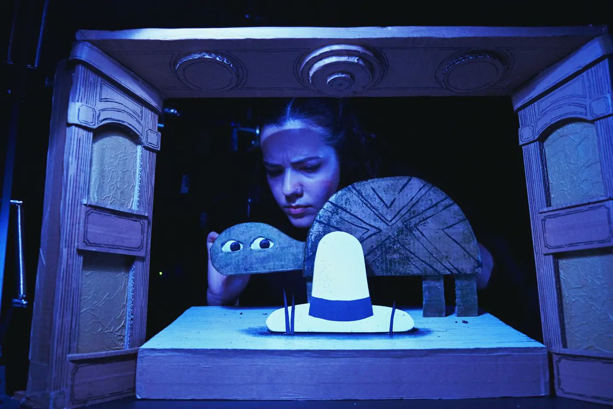 Sam Wilde tweet media