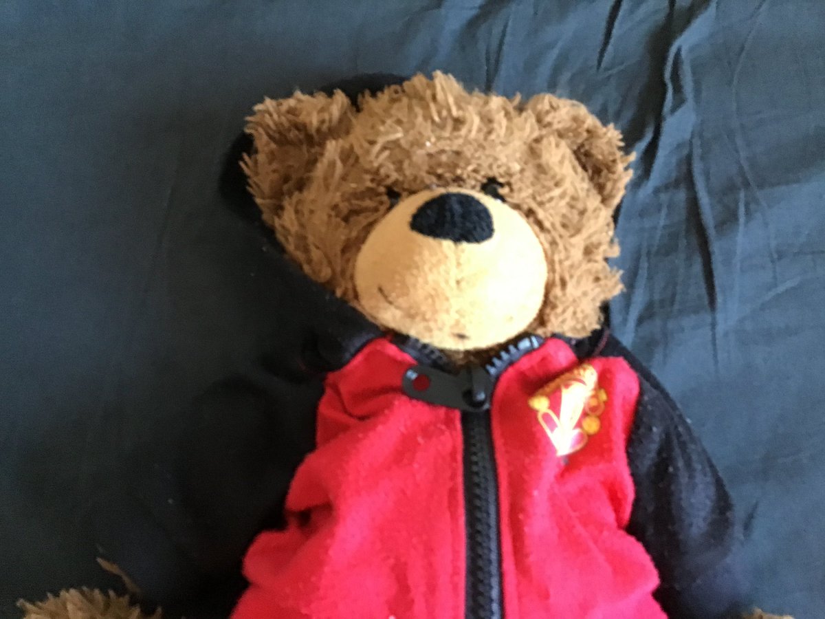 mikebradbeer's tweet photo. My son left his beloved TeddyB on @Delta Flight DL4 (LHR-JFK) - TeddyB is wearing his favourite @ManUtd hoody. No doubt TeddyB is having an amazing adventure but if you see him, let him know we are missing him terribly &amp; we just want him home with us ❤️ https://t.co/vEPq6mg5gk