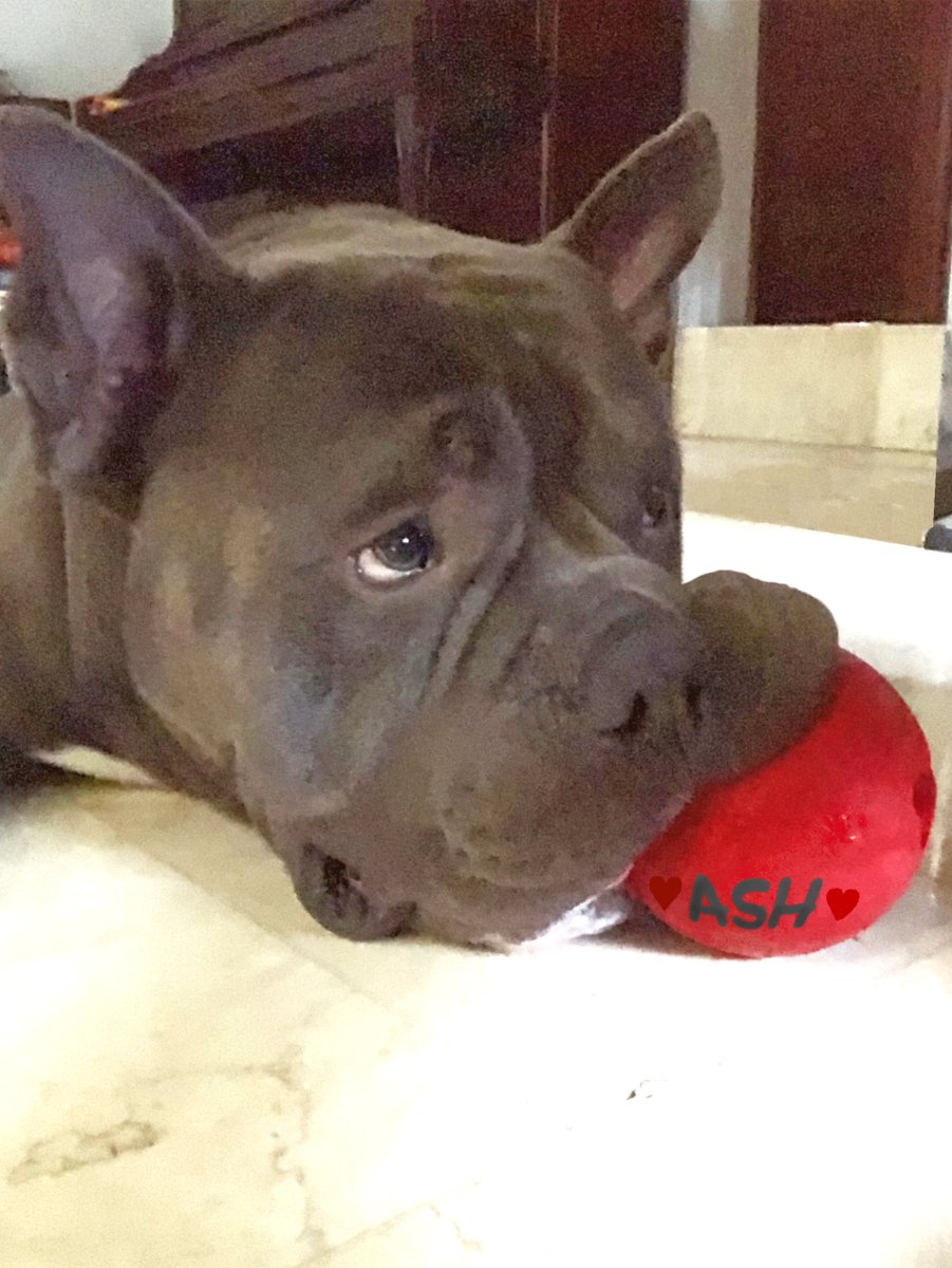 me_ajs's tweet photo. @JoJoFromJerz Ash https://t.co/weO1NW2k4D