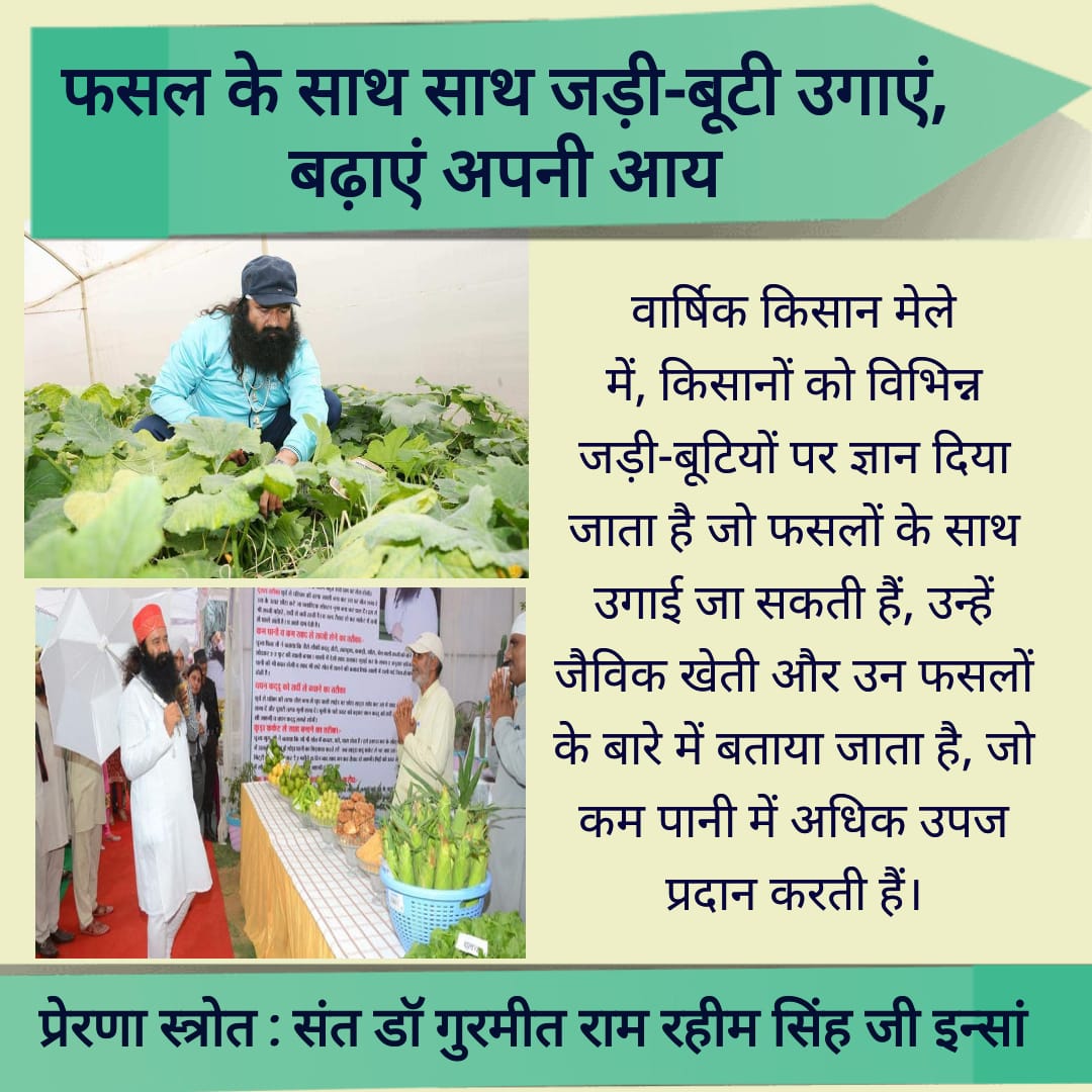 DeepakArora83's tweet image. Saint Dr Gurmeet Ram Rahim Singh Ji Insan has given many successful #FarmingTips. Now farmers are trained to reclaim barren waste lands, grow crops on sub fertile lands and doing organic farming.
#FarmingTipsBySaintMSG
#FarmingGuide
#BecomeASmartFarmer
#LearnAdvanceFarming