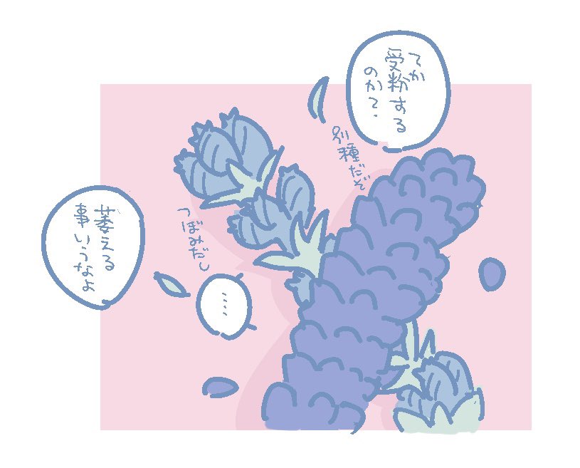 Nerumina's tweet photo. 424 https://t.co/6Q6xh3Lule