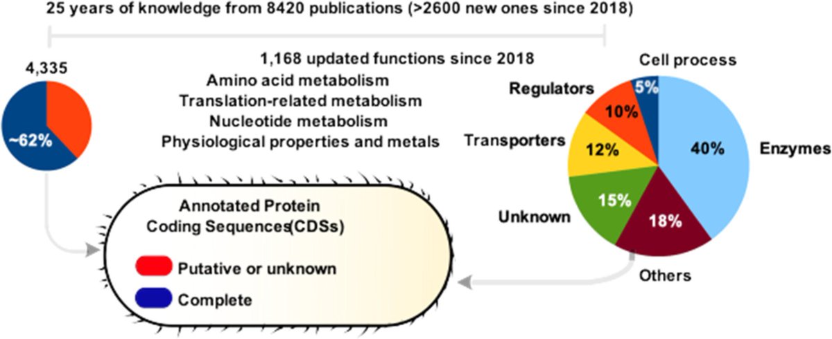 JohnHelmann's tweet photo. A model industrial workhorse: Bacillus subtilis strain 168 and its genome after a quarter of a century
https://t.co/30XBIcZTrA
 
Led by the inimitable Antoine Danchin: bioinformatics pioneer, instigator of genome sequencing, and biological philosopher! 
https://t.co/L8H8aHAHmK https://t.co/Ieb41cyw8G