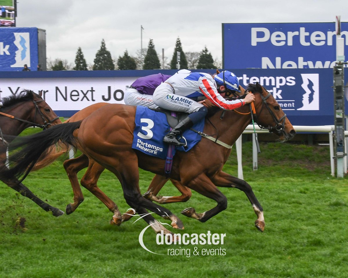DoncasterRaces tweet picture