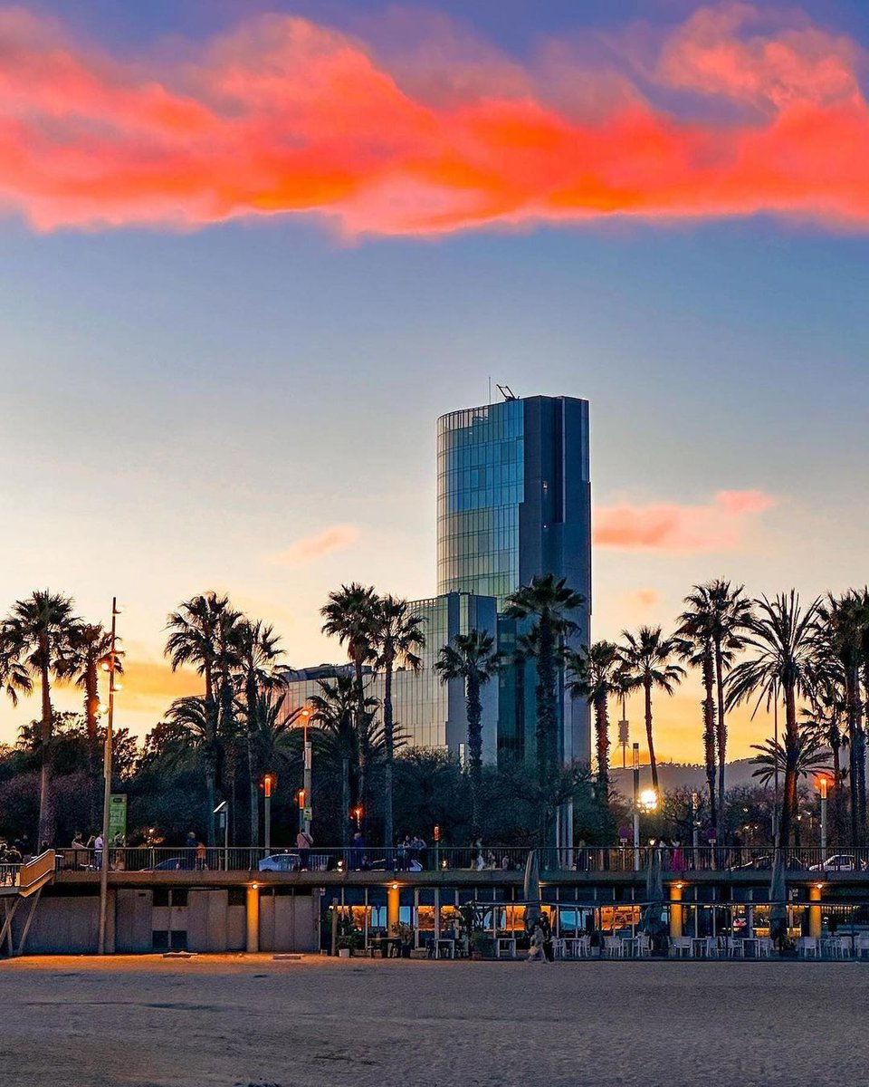 thisis_bcn_ES's tweet photo. 🌺 Con la llegada de la primavera y el buen tiempo, ¡las playas de Barcelona son aún más espectaculares! 🥰
📸 vermllllon (IG)
#visitbarcelona #whotel #torresmapfre https://t.co/jSWwYc6L7w