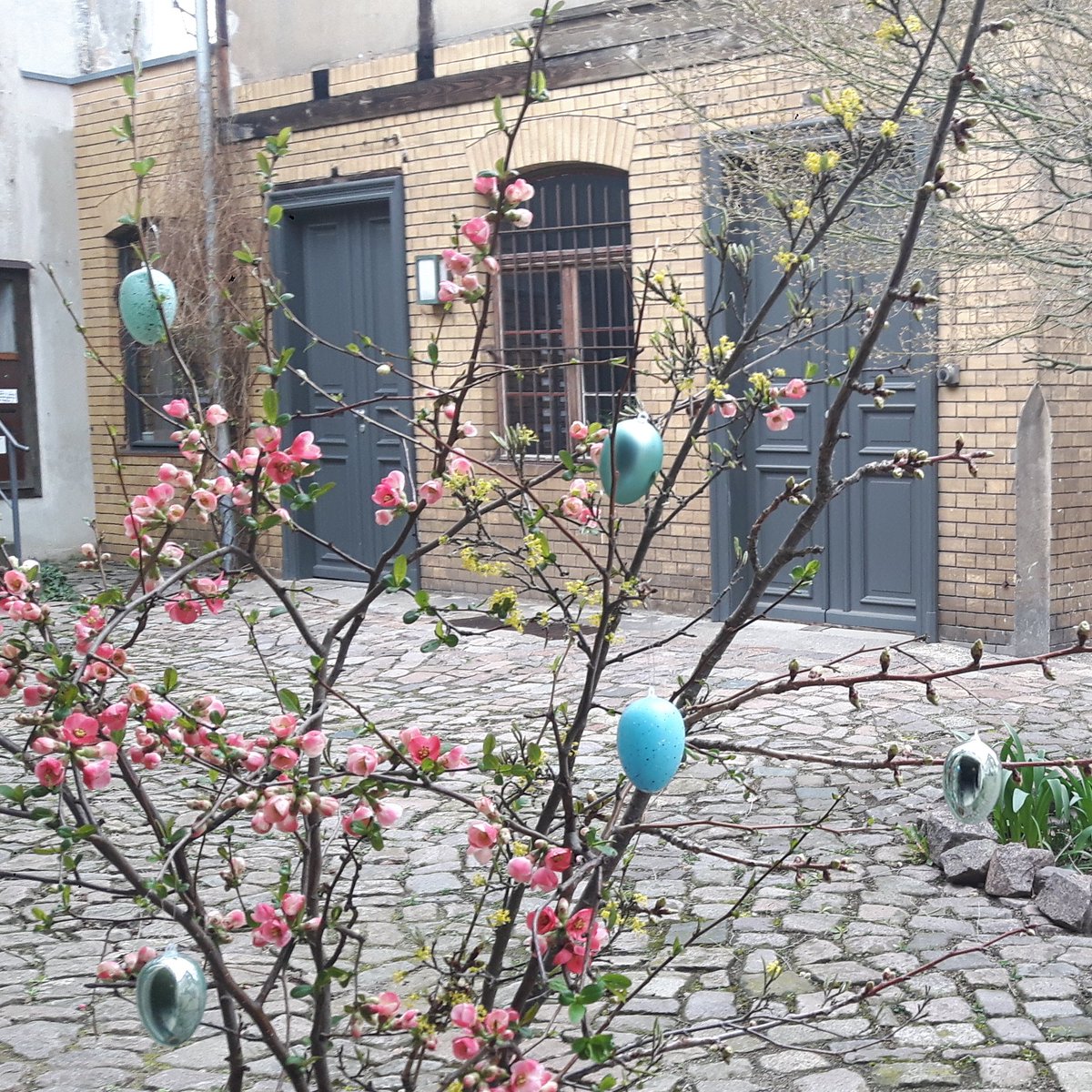 colouringdd's tweet image. Erste Dresdner*innen sind unserem Aufruf gefolgt und haben #ColouredEggs in die Gärten gehängt, um @colouringdd  zu  unterstützen. Damit ihr über solche #colouringdresden Aktionen informiert bleibt, meldet euch beim Newsletter an: seu2.cleverreach.com/f/203678-35110…

#AprilApril @mitforschen