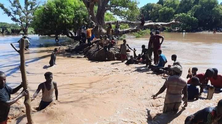 IHDSinstitute's tweet photo. Reports of #ShabelleRiver flooding the villages of #Raqeyle and #BuurFuule in #MiddleShabelle. Casualties and property damages reported. More floods by overflowing Shabelle River are predicted.
@unicefsomalia @WFPSomalia @FAOSomalia @NGOConsortium @SoDMA_Somalia @nasirarush https://t.co/aHJe1FDTmi
