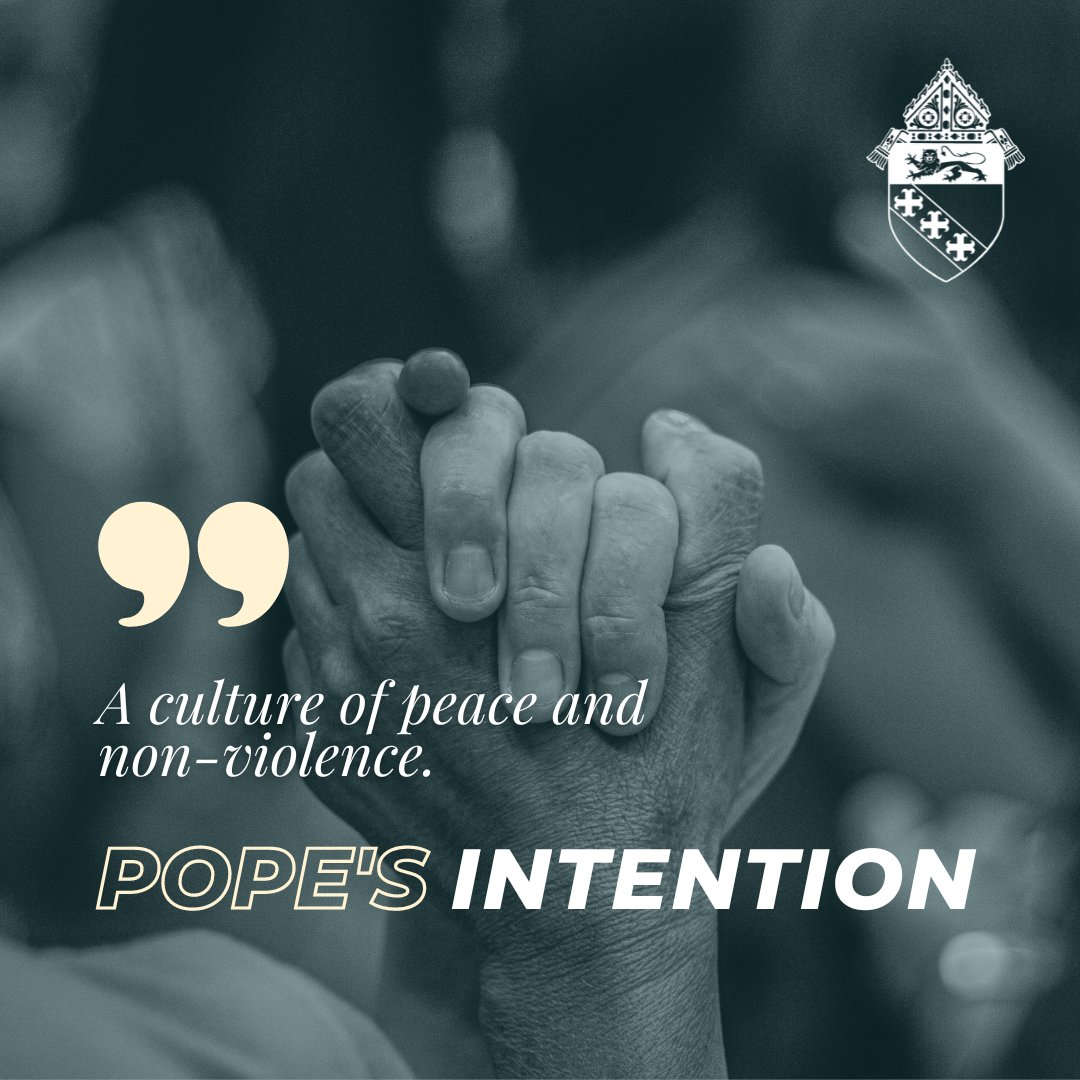 DioceseChas's tweet photo. In unity with Pope Francis, this month we pray for the spread of peace and non-violence. #besustained 

En unidad con el Santo Padre, este mes rezamos por la propagación de la paz y la no violencia. #sersostenido. https://t.co/tSU454iKFt