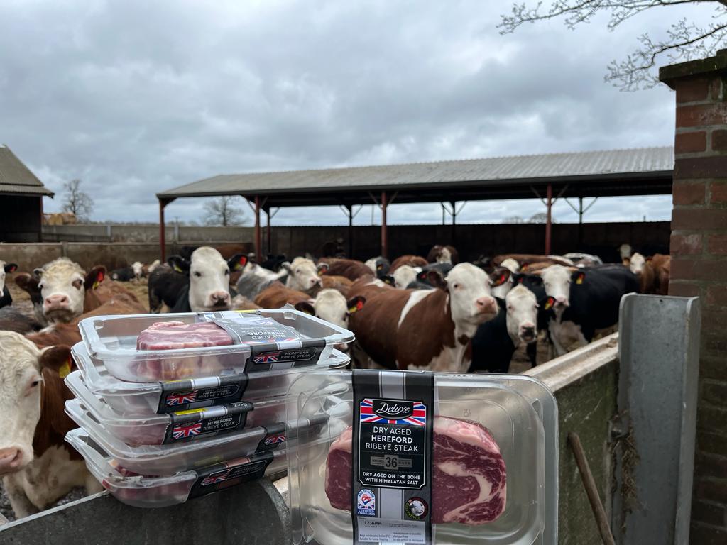Here's the Beef!
One key supermarket willing to back UK beef production is @LidlGB allowing consumers to @BiteintoBritish . D&P are pleased to supply quality beef to processors supplying UK supermarkets. 
#food 
#foodsecurity 
🇬🇧🐂🥩🍽