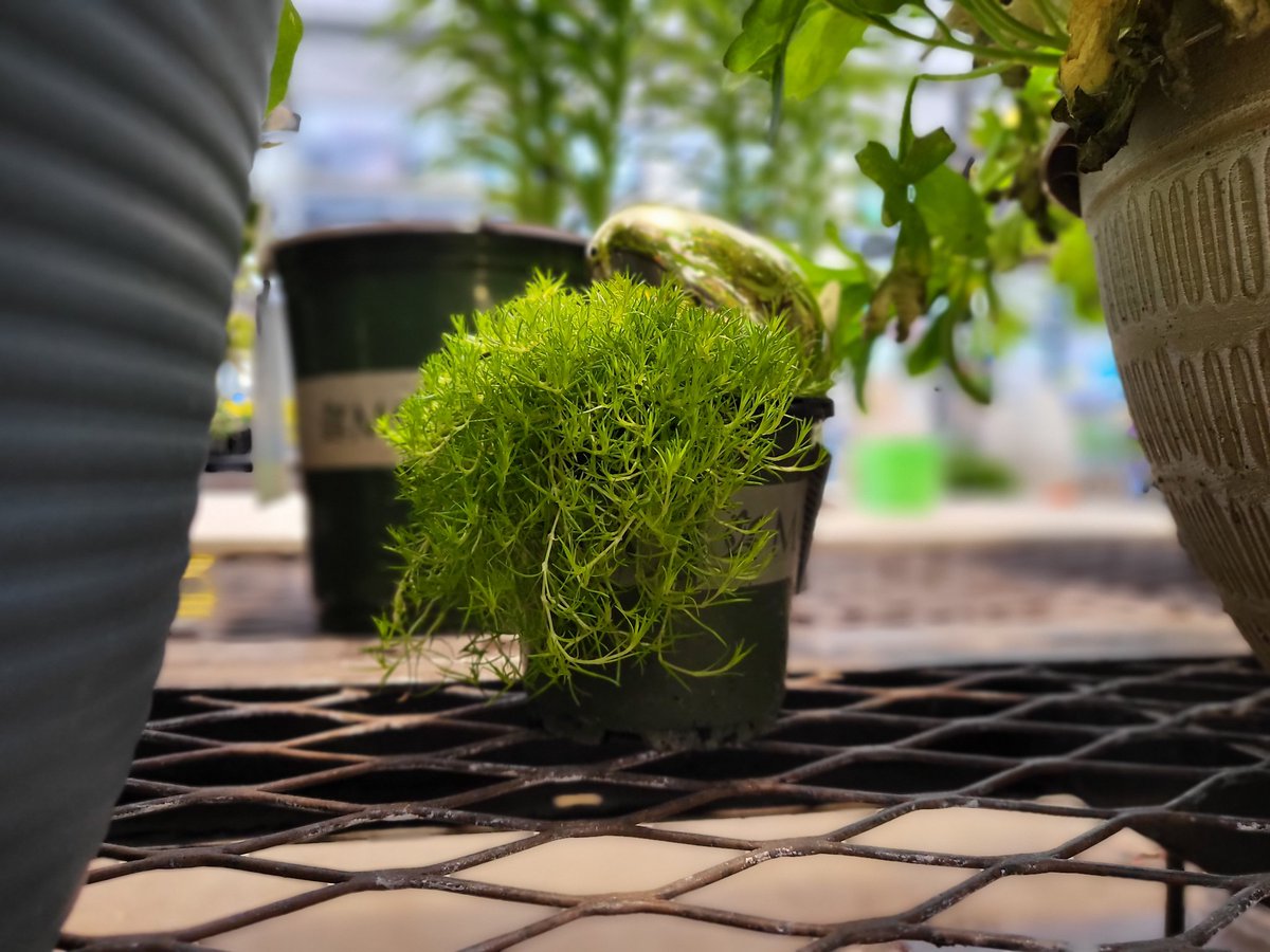 Sam Myers tweet media