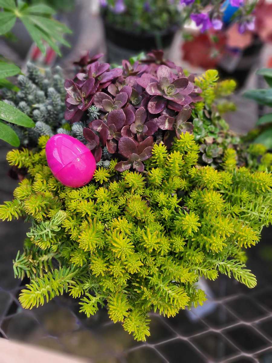 Sam Myers tweet media