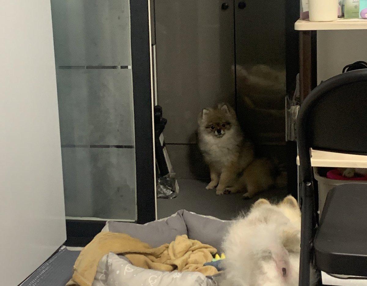 Tan122603's tweet photo. 까까를 더 주십쇼 
눈나야 아직 부족하지않슘깡? https://t.co/XHa7Jdd5sZ
