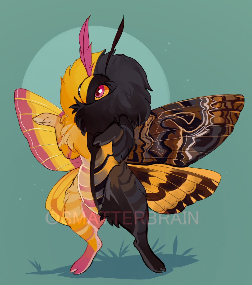 ToadaIIy's tweet image. Last year was truly the year of moths, and I intend to keep that energy going forward.