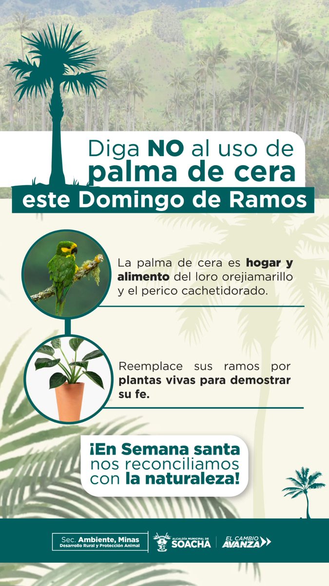 CARLOS AUGUSTO ROZO  tweet media