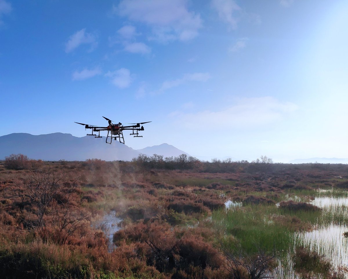 NikosKelemenis's tweet photo. #mosquitocontrol season is on. Using #djiagras for spraying #aedes breeding sites. @EcodevSA  @DJIAgriculture https://t.co/E2S2QzGTOn