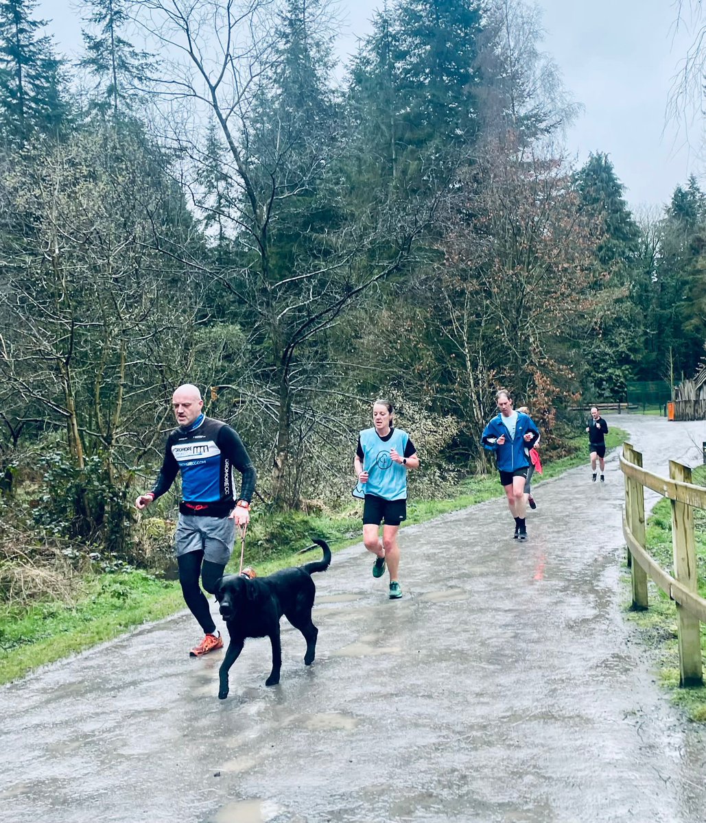 hillsforestpr's tweet photo. Some of our pacers from this morning’s @parkrunUK at Hillsborough Forest #loveparkrun 🧡 #pacerweek 🎽 https://t.co/f7hEoZei83