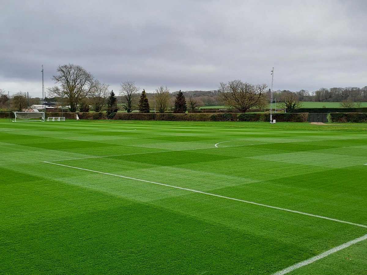 george starling tweet media