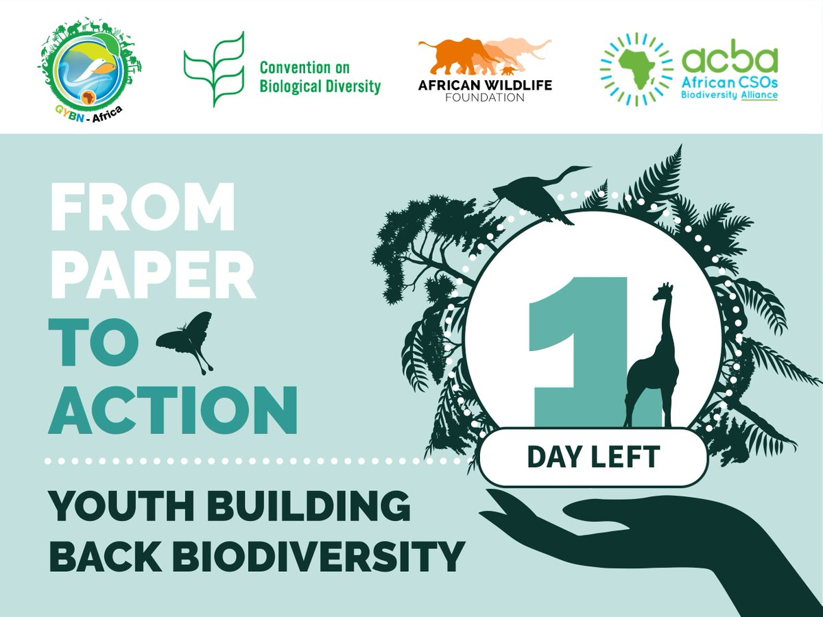 GYBNAfrica's tweet photo. 1 days to go till the launch of the "From Paper to Action: Youth Building Back Biodiversity" campaign . Tell us what you are excited to learn and engage on through this campaign in the comment section below. 
#YouthinAction #Buildingbackbiodiversity #FromPapertoAction https://t.co/7lVRVvViBc